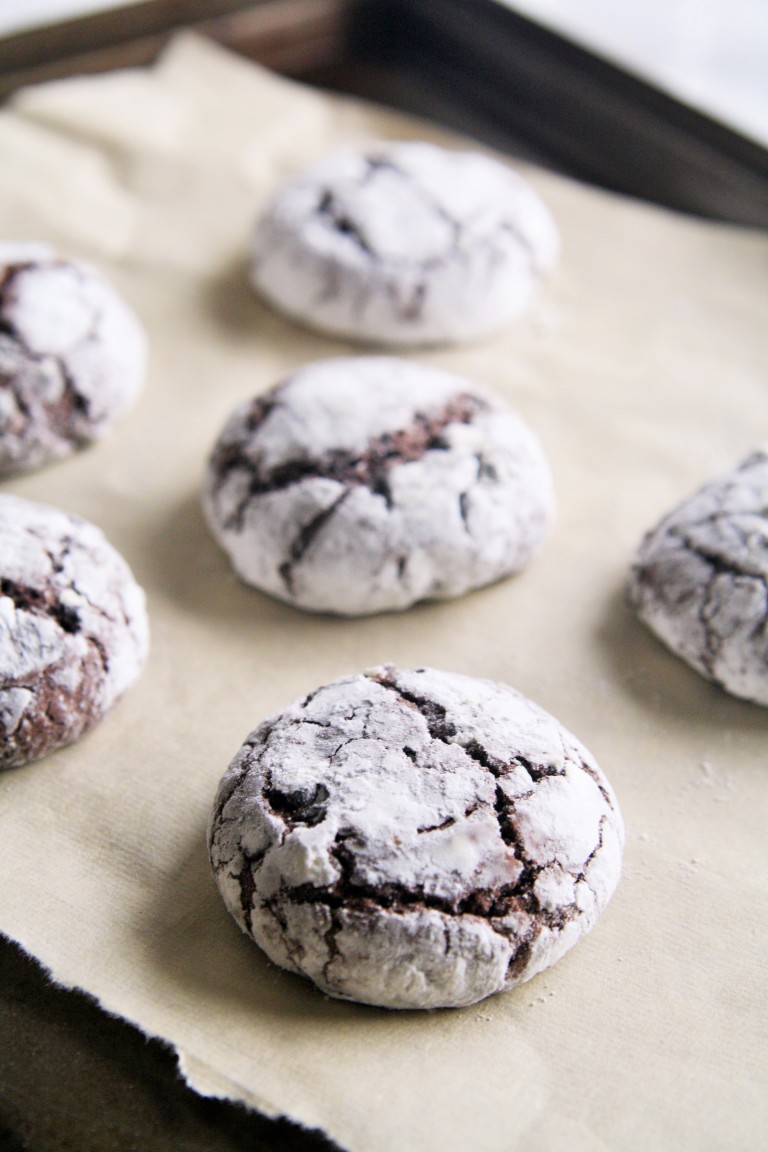 Mexican Mocha Crinkle Cookies - The Tasty Bite