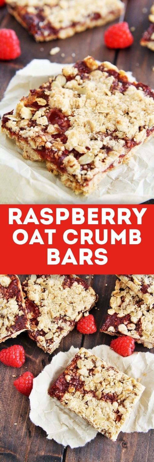 Raspberry Oat Crumb Bars - The Tasty Bite