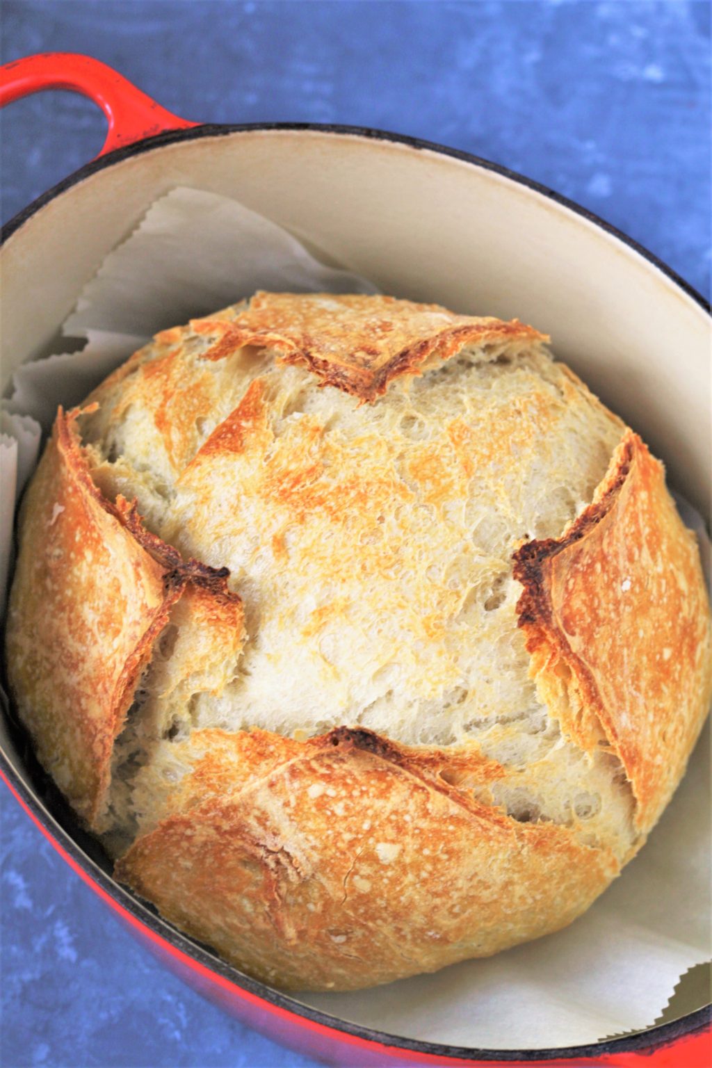 easiest-no-knead-bread-two-methods-the-tasty-bite