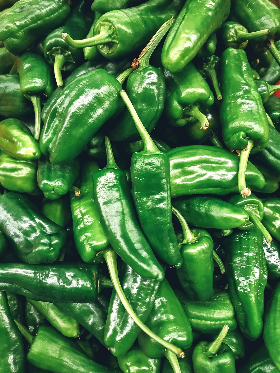 Cubanelle vs Poblano peppers – learn about the heat level, flavor profile, culinary uses, and the best substitutes for these mild yet flavorful peppers. Perfect for adding to Mexican and Caribbean dishes!