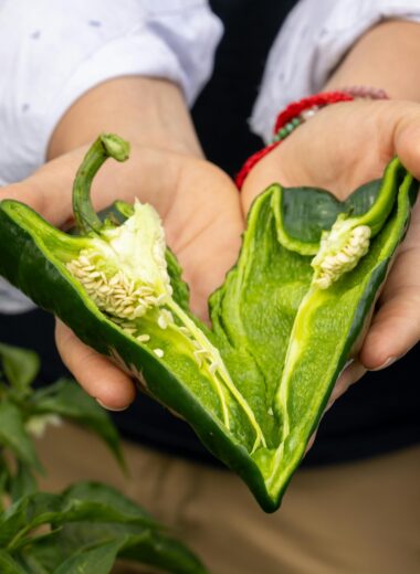 Cubanelle vs Poblano peppers – learn about the heat level, flavor profile, culinary uses, and the best substitutes for these mild yet flavorful peppers. Perfect for adding to Mexican and Caribbean dishes!