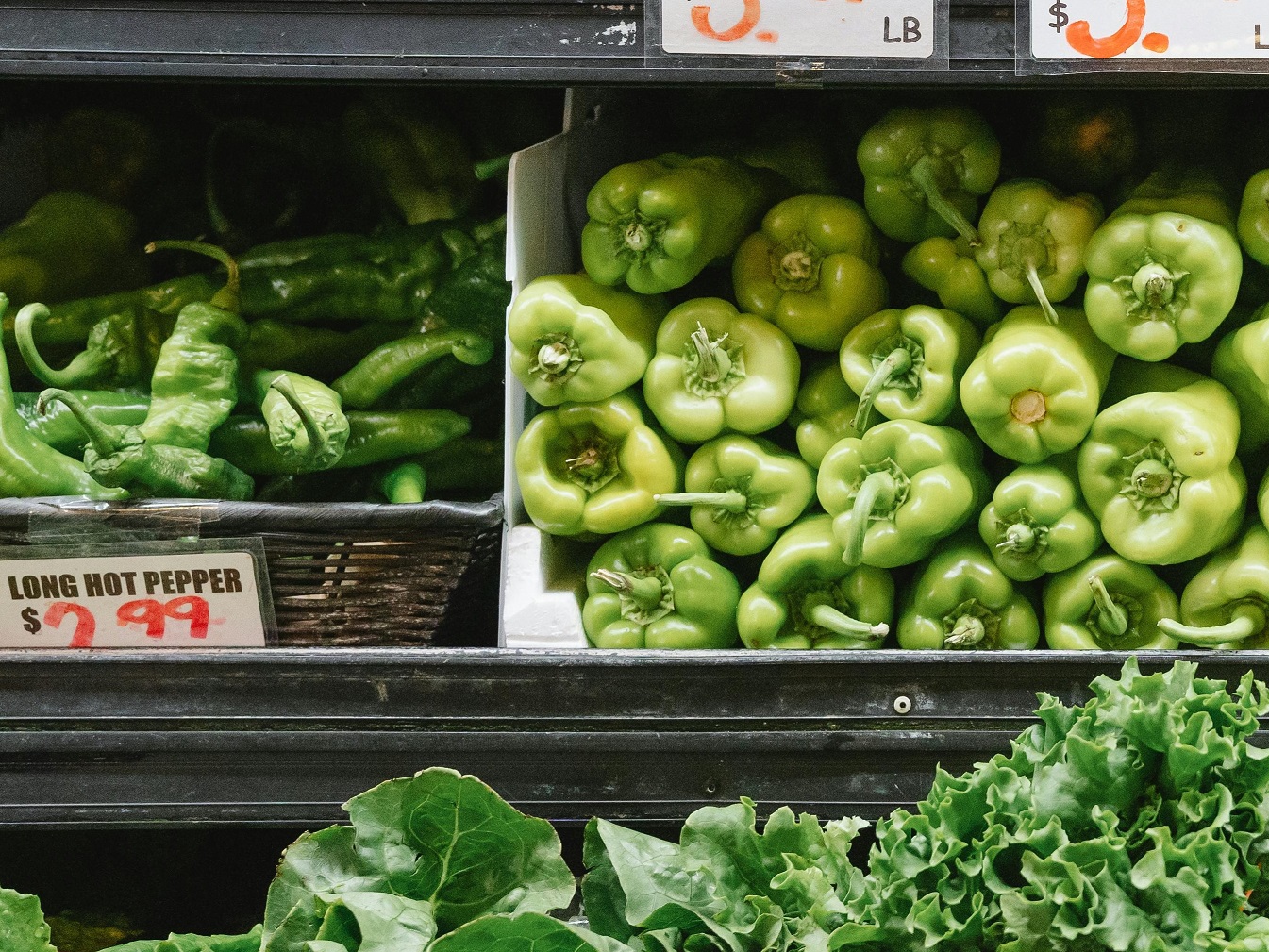 Cubanelle vs Poblano peppers – learn about the heat level, flavor profile, culinary uses, and the best substitutes for these mild yet flavorful peppers. Perfect for adding to Mexican and Caribbean dishes!