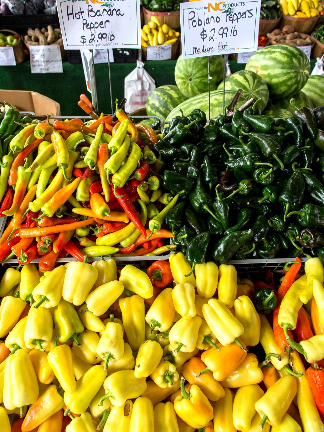 Cubanelle vs Poblano peppers – learn about the heat level, flavor profile, culinary uses, and the best substitutes for these mild yet flavorful peppers. Perfect for adding to Mexican and Caribbean dishes!