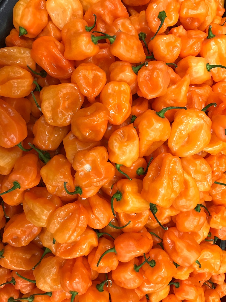 Discover the differences between Scotch Bonnet and Habanero peppers. Learn about their heat, flavor, and culinary uses in Caribbean and African cuisine, plus how they compare on the Scoville scale for the ultimate spicy food guide!