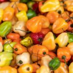 Scotch Bonnet vs Habanero Peppers: What’s the Difference?