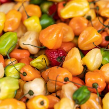 Discover the differences between Scotch Bonnet and Habanero peppers. Learn about their heat, flavor, and culinary uses in Caribbean and African cuisine, plus how they compare on the Scoville scale for the ultimate spicy food guide!