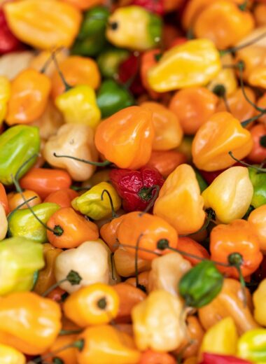 Discover the differences between Scotch Bonnet and Habanero peppers. Learn about their heat, flavor, and culinary uses in Caribbean and African cuisine, plus how they compare on the Scoville scale for the ultimate spicy food guide!