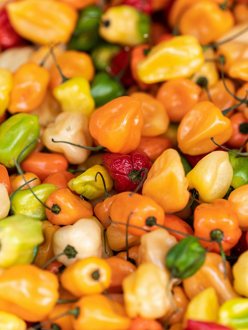 Discover the differences between Scotch Bonnet and Habanero peppers. Learn about their heat, flavor, and culinary uses in Caribbean and African cuisine, plus how they compare on the Scoville scale for the ultimate spicy food guide!