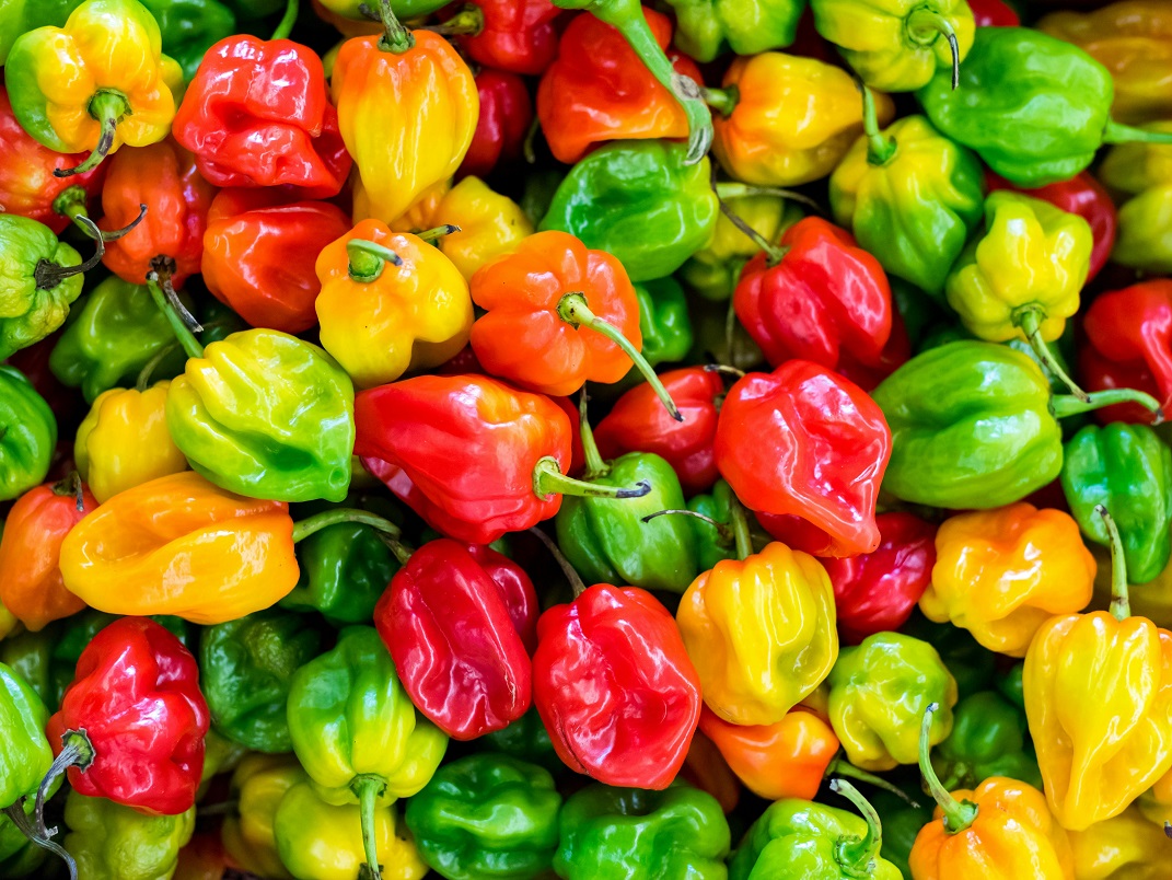 Discover the differences between Scotch Bonnet and Habanero peppers. Learn about their heat, flavor, and culinary uses in Caribbean and African cuisine, plus how they compare on the Scoville scale for the ultimate spicy food guide!